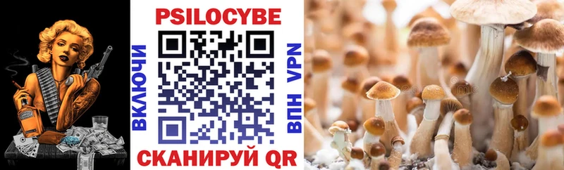 где продают наркотики Юрга KRAKEN вход Галлюциногенные грибы Magic Shrooms