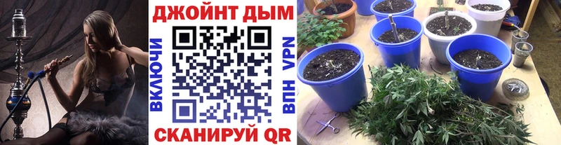 blacksprut рабочий сайт  darknet Telegram  Марихуана OG Kush  Юрга 